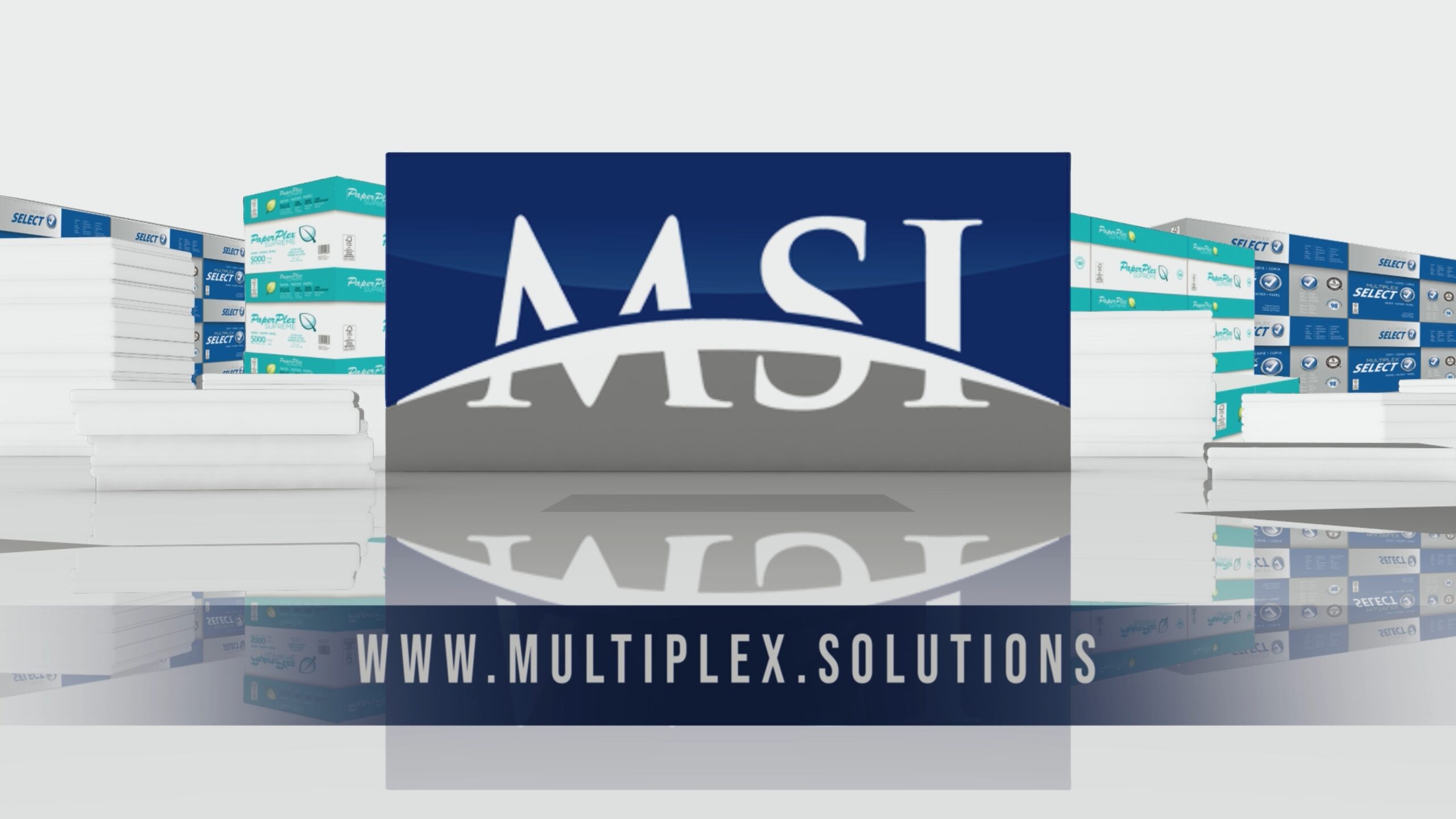Multiplex Solutions Inc (2020)